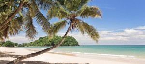the beach....